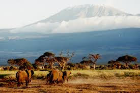 3 Days Amboseli Affordable Safari 2026–2028 | TopCream Safaris
