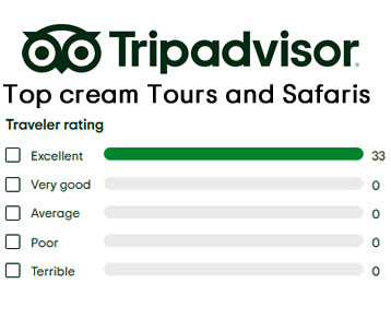 top cream tours and safaris trip advisor
